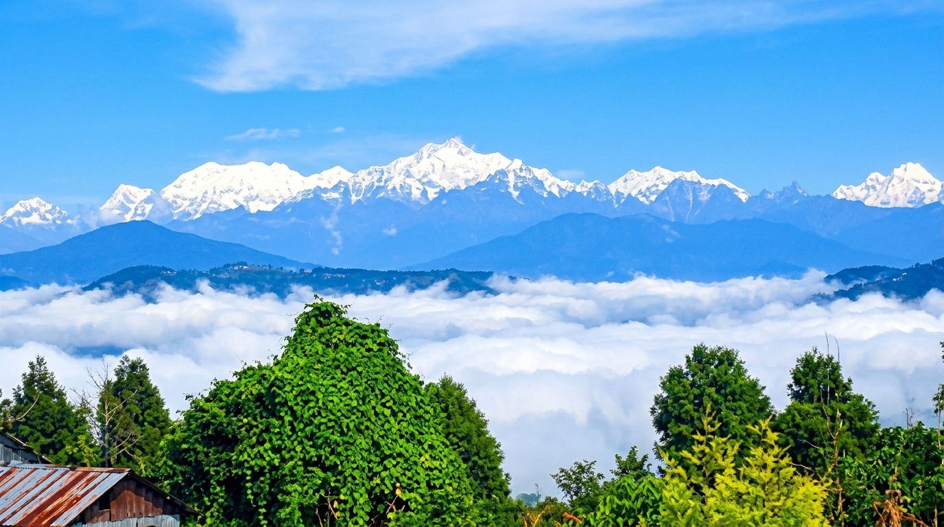 1781016874_946267-kaffergaon.jpeg