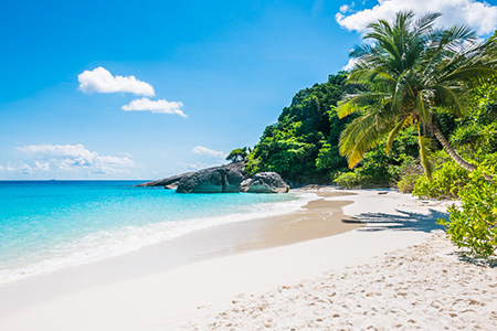 Best of Andaman 3N 4D