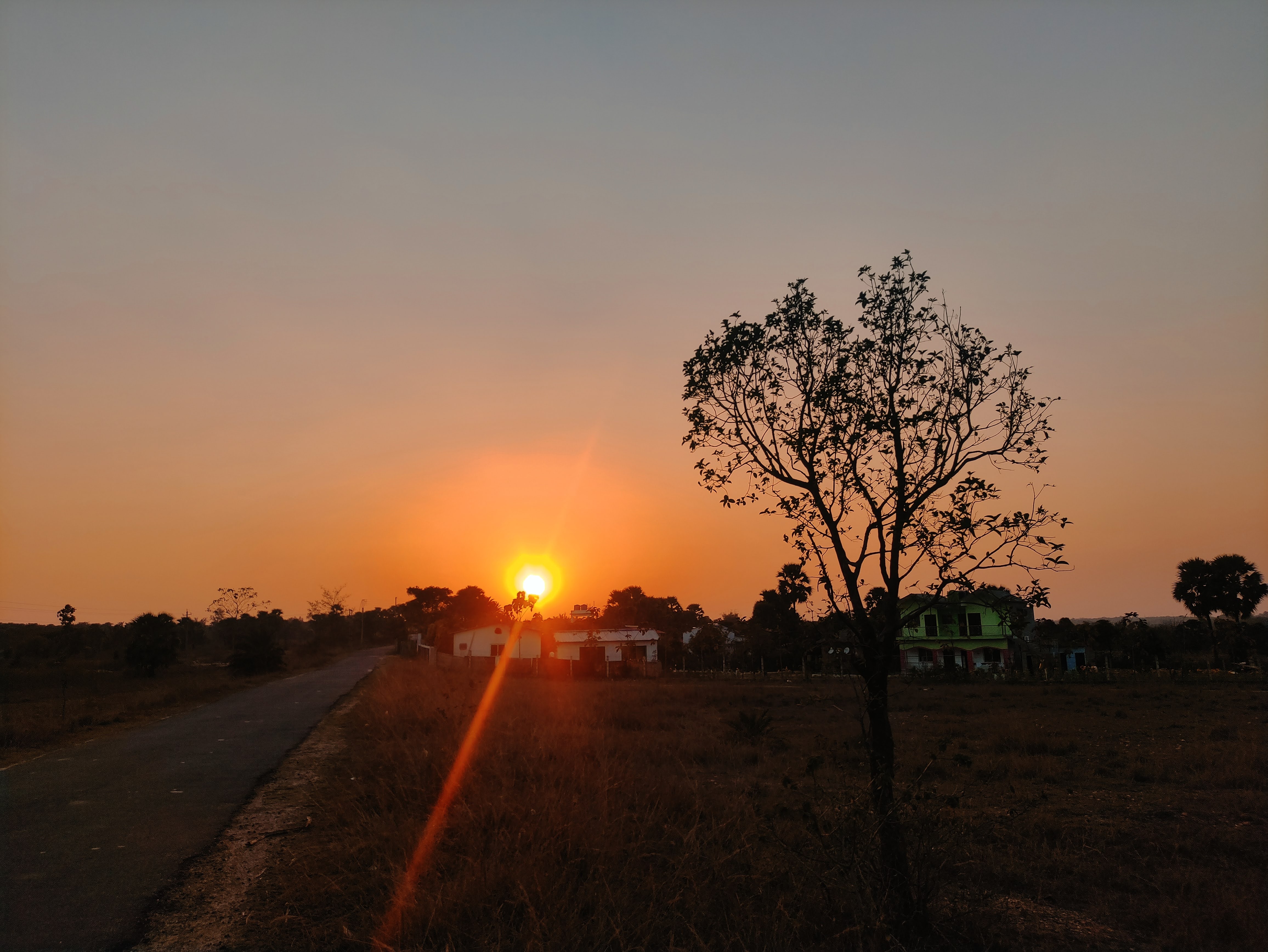 Shantiniketan, Kolkata, Sundarban & Gangasagar Tour  7N 8D
