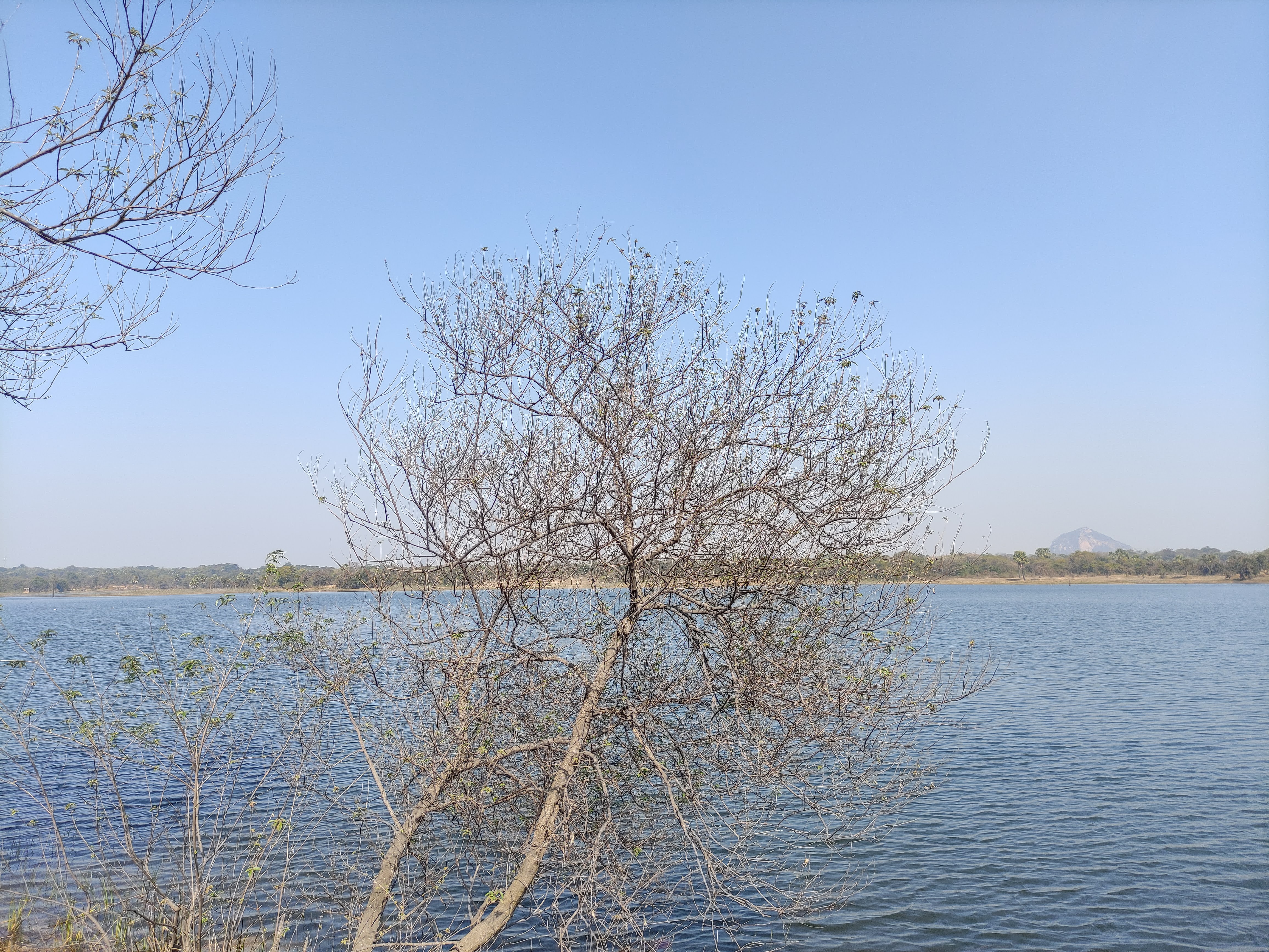 Baranti Hills & Dam Retreat  2N/3D