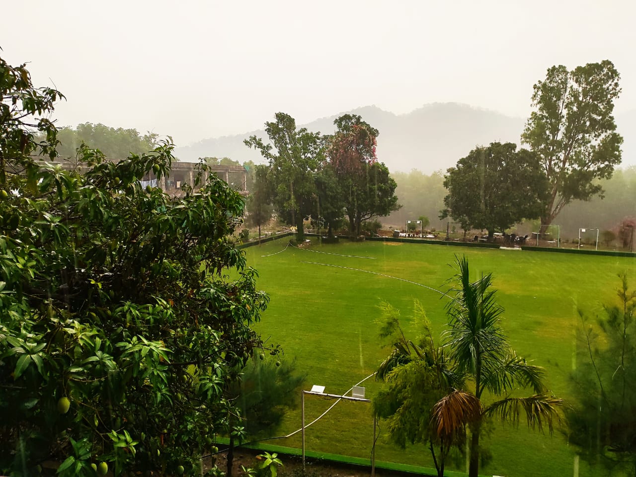Nainital, Kausani & Jim Corbett Tour 6N/7D