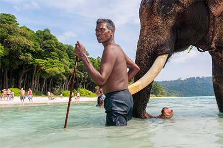 Wildlife Holidays